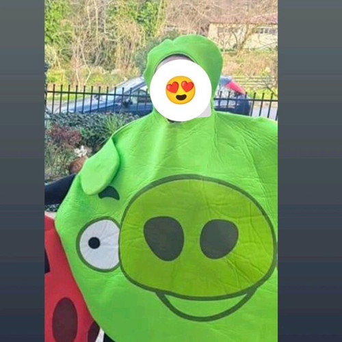 Angry Birds piglet carnival costume like new
