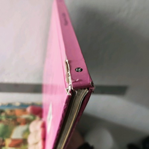 Disney Magemeni Stavloi book used