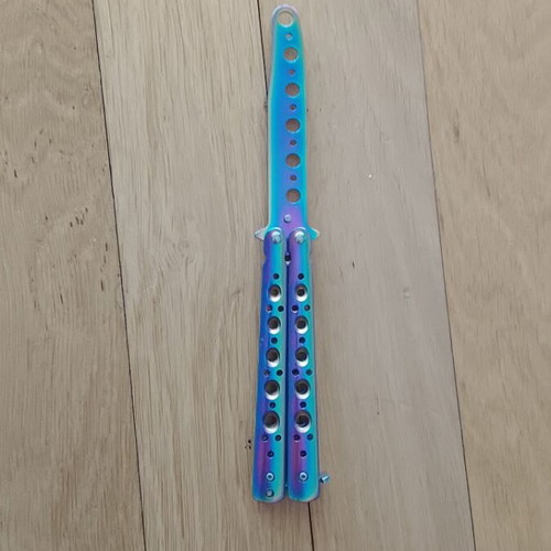 Training butterfly toy