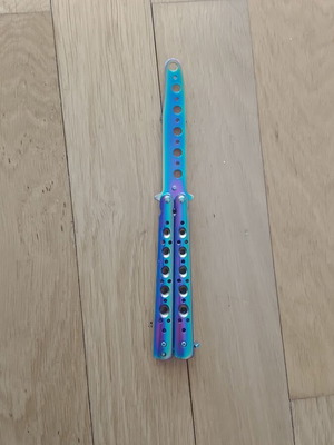 Training butterfly toy