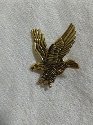 Eagle brooch metal like new