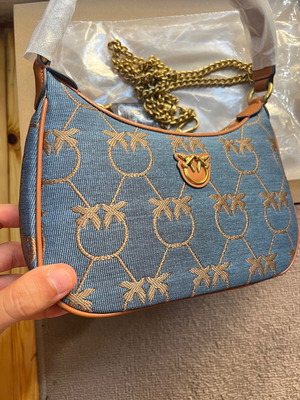 Pinko Bag new