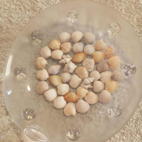 Bottle 0.5L filled with seashells for crafts