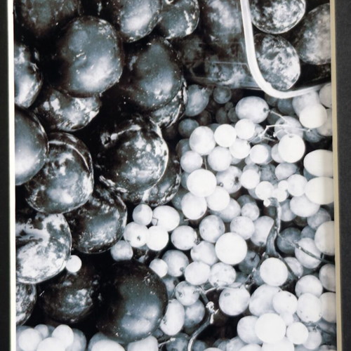 Fruit photos like new, set of 4 pieces