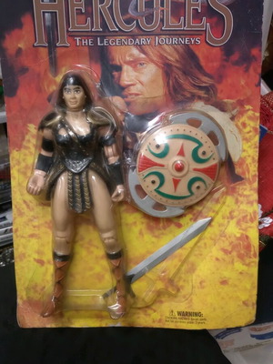 Zina figure card new with 25cm figure and weapons