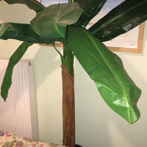 Artificial banana plant used, height 1.80 m