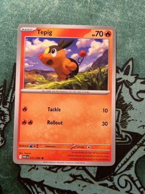 Tepig Pokemon card used