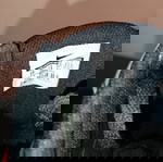  Nike αθλητικά παπούτσια