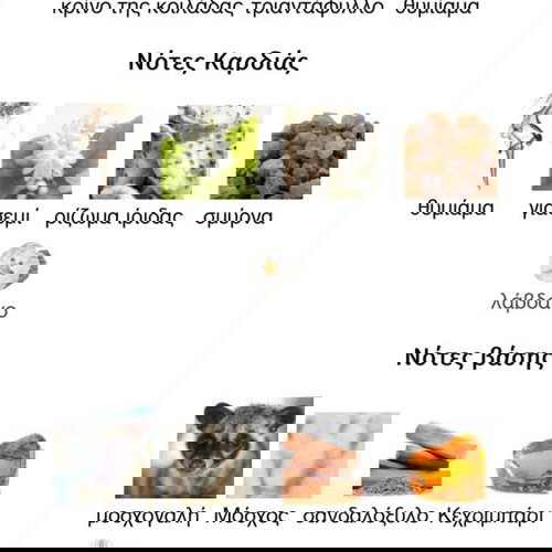 Парфюм Gold Woman Amouage edp 5ml decant нов, пренесен автентичен