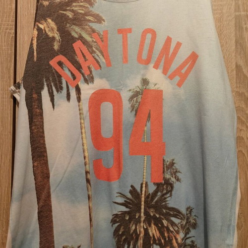 Teranova men's sleeveless t shirt used, L/XL multicolor
