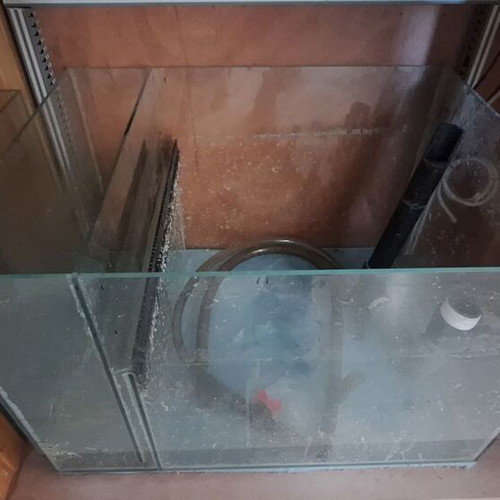 Aquarium 330 liters used with sump and wooden stand