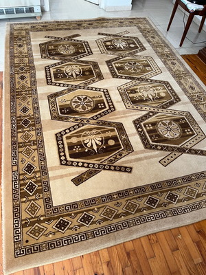 Rug used in excellent condition 2.82 x 2.00