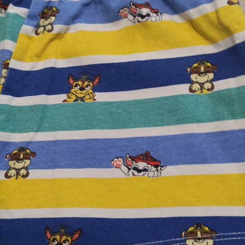 Paw Patrol set for boys used, Sinsay, white multicolor