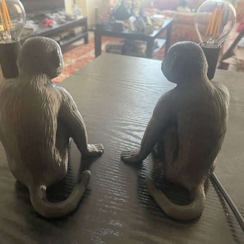 Original 3D printed monkey table lamps new