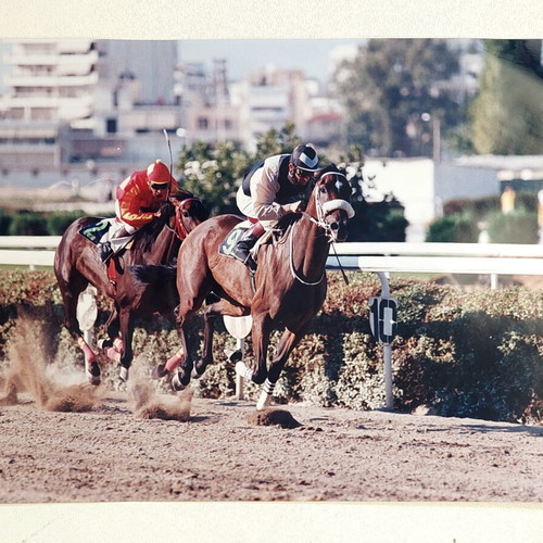 Vintage horse racing photo used, large 30x20 cm