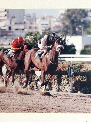 Vintage φωτογραφία ιπποδρομίας μεταχειρισμένη, μεγάλη 30x20 εκ.