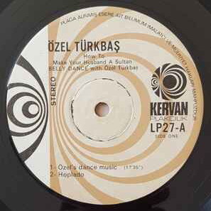 How To Make Your Husband A Sultan vinyl record used