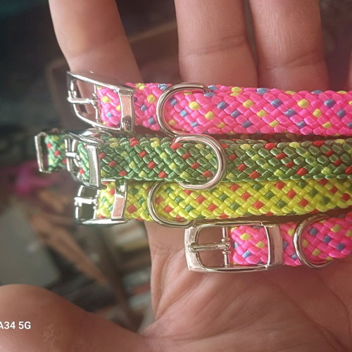 Small size dog collar new