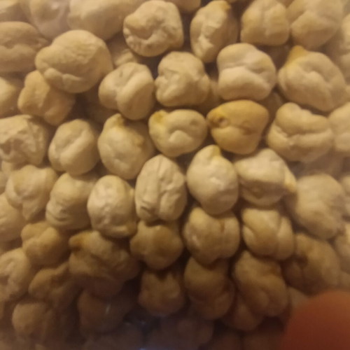 Boio Boiled Chickpeas 1 Kilo