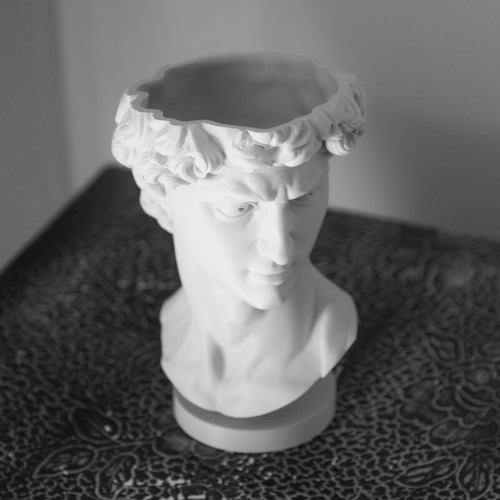 3D Print David Plant Pot