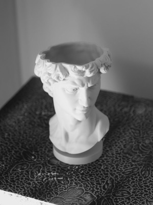 3D Print David Plant Pot