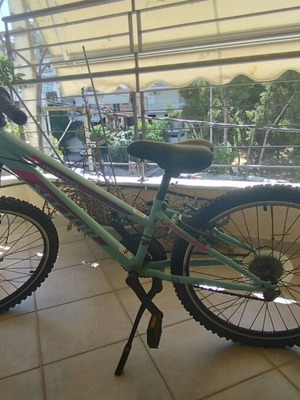 Mountain bike Sector 24 inch, 18-speed Shimano, used