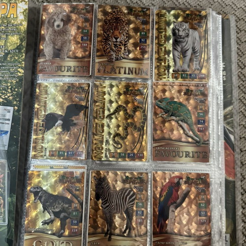 The Jungle Carouzel animal trading cards album