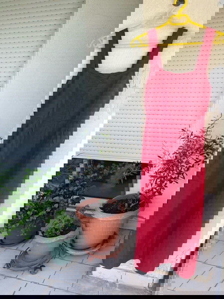  forema Mango megethos S