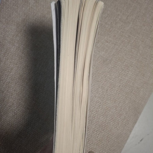 Les Royaumes de Feu Tome 2 La Princesse Disparue French edition book