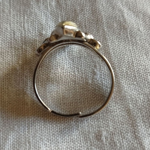 Stainless steel ring used with adjustable size