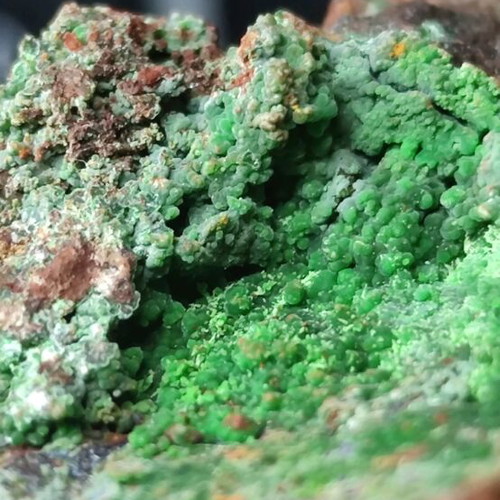 Conichalcite new, large and rich specimen from Lavrio
