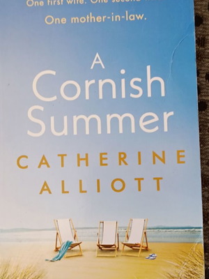 A Cornish Summer book like new