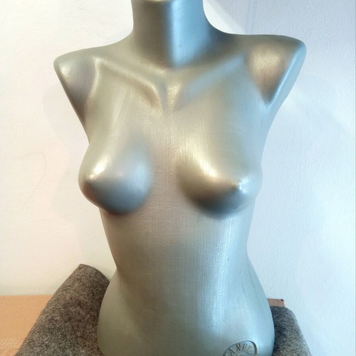 Panel Female Display Mannequin Torso like new, metallic silver finish