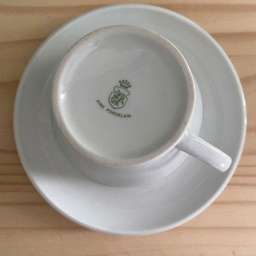 Dimello large cappuccino/tea cup with saucer like new