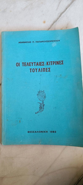 οι τελευταίες κίτρινες τουλίπες + οι μυστηριώδεις δυνάμεις των φυτων