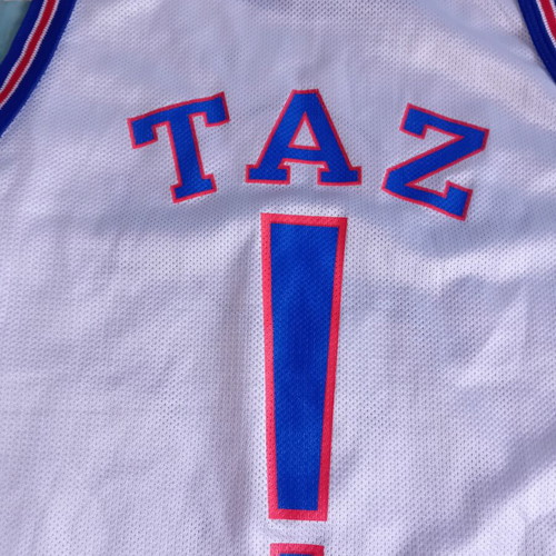 NBA Space Jam Champion 90s jersey used, authentic, size XL 18-20