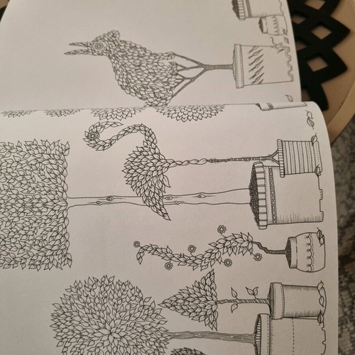 Secret Garden Coloring Book like new