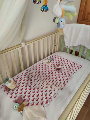 Pali Baby Cot used with mosquito net, bumper, and mattress