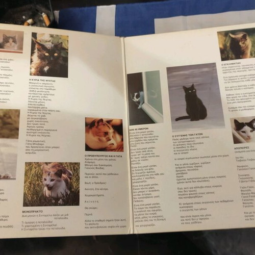 The Book of Cats new with signature by Marieli Sfakianaki