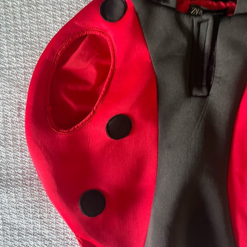 Ladybug costume Zara like new, scuba fabric, size 3-4