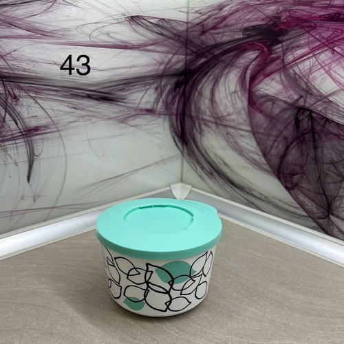 Tupperware storage container new with lid