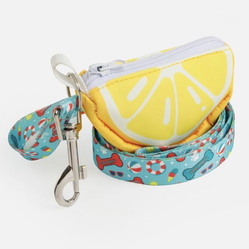 Turquoise Summer Dog Leash with Bag Holder