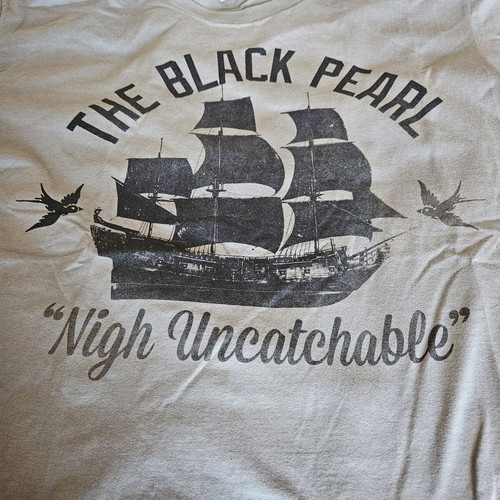 Disney The Black Pearl T-shirt, large, grey