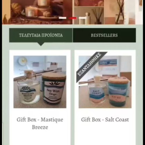 E-commerce website fully functional with professional design