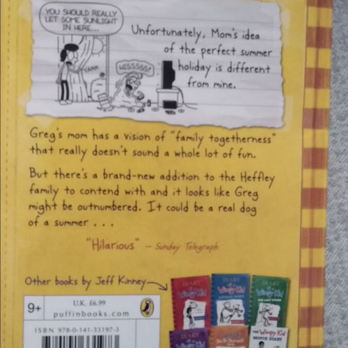 Diary of a Wimpy Kid Dog Days book like new, English