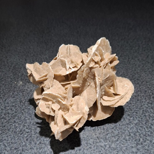 Desert Rose Collection (2 Rare Mineral Pieces - 1.16kg Total)