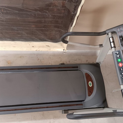 Horizon Paragon treadmill used with shock-absorbing deck