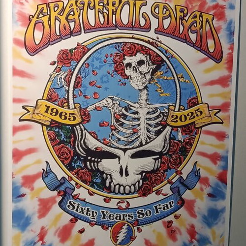 Grateful Dead A4 poster