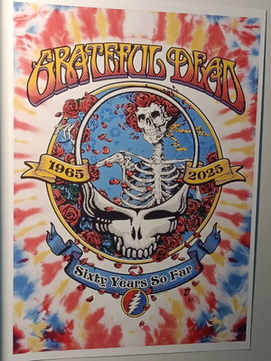 Grateful Dead A4 poster