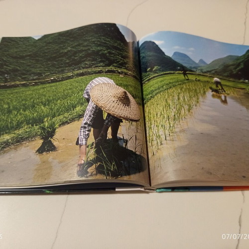 The Animal Encyclopedia Skai Book Volume 11 Used, Giant Panda and Endangered Species